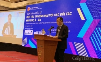 Hợp tác Việt Nam và khu vực Á - Âu: Nhiều dư địa phát triển