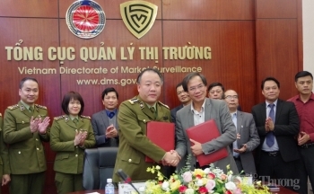 “Bắt tay” chống hàng giả, hàng nhái trong ngành giấy và bột giấy
