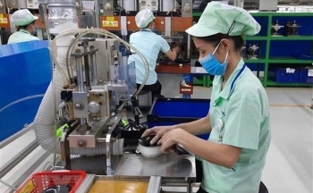 Doanh nghiệp thành lập mới và doanh nghiệp quay trở lại hoạt động tăng 0,8%