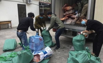 Hải Dương: Ngăn chặn kịp thời hơn 2 tấn thịt lợn bốc mùi đang trên đường đi tiêu thụ