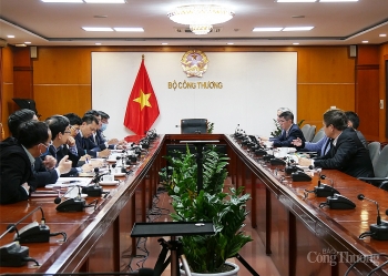 Việt Nam sẽ sử dụng năng lượng hỗn hợp một cách tối ưu