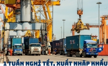 [Infographics] 1 tuần nghỉ tết, xuất nhập khẩu vẫn nhộn nhịp