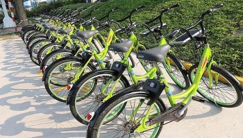 Cho thuê xe đạp tại Hà Nội: Cần điều chỉnh giá phù hợp