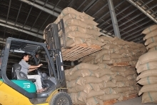 Foreign trade results to exceed forecasts