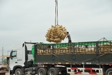 Good signals for Vietnamese rice exports