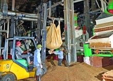 Netherlands, Vietnam to boost economic ties