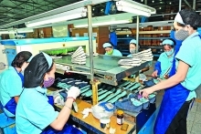 Vietnam seeks Romanian, Czech help on trade pact