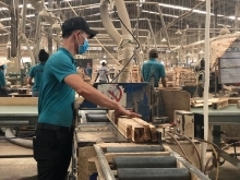 Vietnam launches first anti-dumping wood sector probe