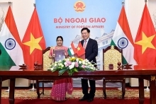 Trade between Vietnam and India records surge