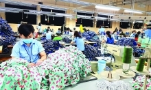 Textile and garment industry: Optimistic 2019 outlook
