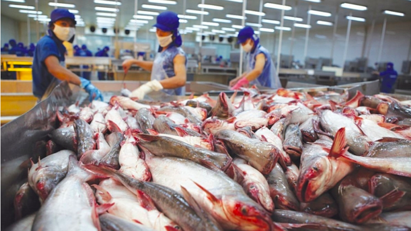 Doanh nghiệp tận dụng cơ hội từ CPTPP để thúc đẩy xuất khẩu