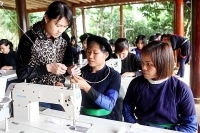 Hà Giang “tiếp sức” doanh nghiệp vượt dịch