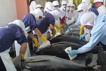 Israel quan tâm đến nhiều mặt hàng của Việt Nam