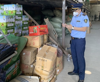 Xử phạt hành chính gần 200 triệu đồng 3 vụ vi phạm tại Bắc Ninh