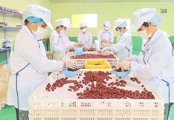 Bắc Kạn: Đa dạng kênh tư vấn kết nối cung – cầu lao động