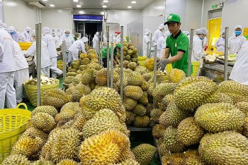 Thương vụ Việt Nam tại Australia thông tin việc chậm thông quan hàng hóa nhập khẩu