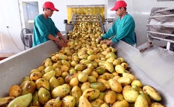 Rộng cửa cho nông sản xuất khẩu sang thị trường Trung Quốc