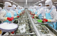 Tận dụng lợi thế UKVFTA, đẩy mạnh khai thác thị trường