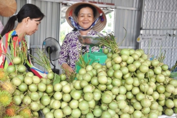 Gắn sao OCOP cho trà mãng cầu, khô cá tra Cần Thơ