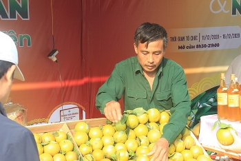 Cam và nông sản Hưng Yên hấp dẫn người tiêu dùng Thủ đô