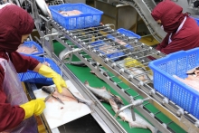 Biến thể mới của Covid-19 có thể khiến ngành thủy sản khó bứt phá trong 2022