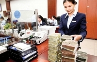 Hỗ trợ tín dụng cho khách hàng bị thiệt hại bởi dịch tả lợn châu Phi