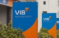VIB: Lợi nhuận quý 1/2019 tăng 56%, chất lượng tín dụng được kiểm soát chặt