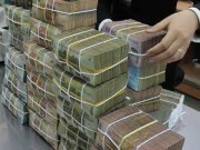 Nợ xấu trong chăn nuôi lợn tăng lên 352 tỷ đồng