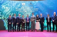 Nha Trang sắp có khu bảo tồn san hô tự nhiên