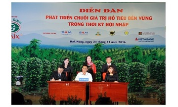 Tín dụng ưu đãi cho ngành hàng hồ tiêu