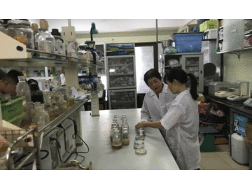 Nhựa phân hủy sinh học: Nghiên cứu chuyển giao, thương mại hóa