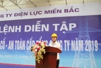 Nữ CEO duy nhất của ngành điện Việt Nam