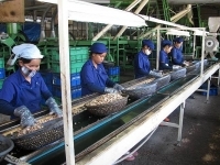 Khuyến công Bà Rịa - Vũng Tàu: Đề xuất mở rộng đối tượng thụ hưởng