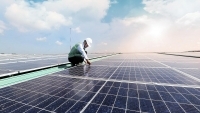EVNSPC: Khuyến khích lắp đặt điện mặt trời áp mái