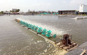 Tiết kiệm điện tại các doanh nghiệp ở Cần Thơ: Những kết quả khả quan