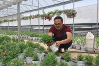 Làn gió mới trên đỉnh Cao Sơn