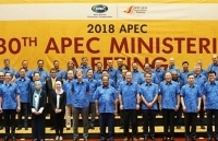 Hội nghị liên Bộ trưởng Ngoại giao – Kinh tế APEC lần thứ 30