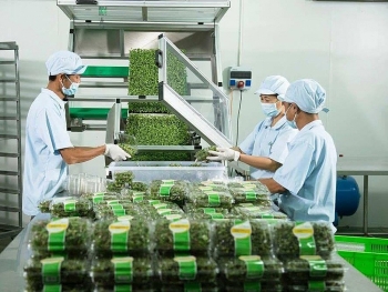 Tiền Giang: Hút vốn đối ứng lớn