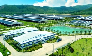 Công ty Cổ phần sữa Việt Nam: 3 trụ cột giảm phát thải