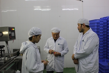 Ban hành cơ chế, chính sách đột phá: Hà Nội hỗ trợ hiệu quả khởi nghiệp sáng tạo