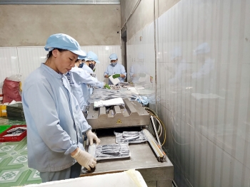 Đưa tri thức số đến với startup