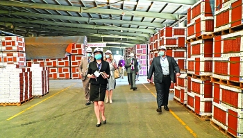 Công nghiệp Quảng Ninh bứt tốc