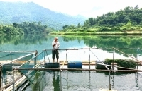 Nghệ An: Lan toả những lá đơn xin thoát nghèo