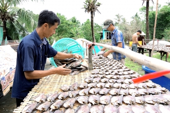 Khánh Bình Tây: Cần cách làm mới với những hộ nghèo cũ