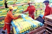 Cao Bằng: Đáp ứng đủ nhu cầu phân bón vụ đông xuân