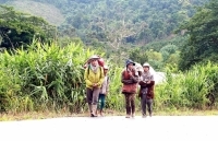 Ổn định dân di cư tự do