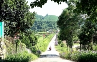 Nghệ An: Phấn đấu có thêm 30 xã  đạt chuẩn nông thôn mới