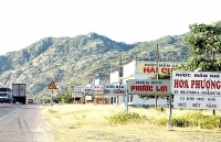 Nâng tầm thương hiệu nước mắm Cà Ná