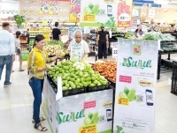 Đưa đặc sản su su Nghệ An vào Big C