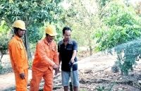 Trà Vinh: Cư dân “ốc đảo” khấm khá hơn nhờ có điện lưới